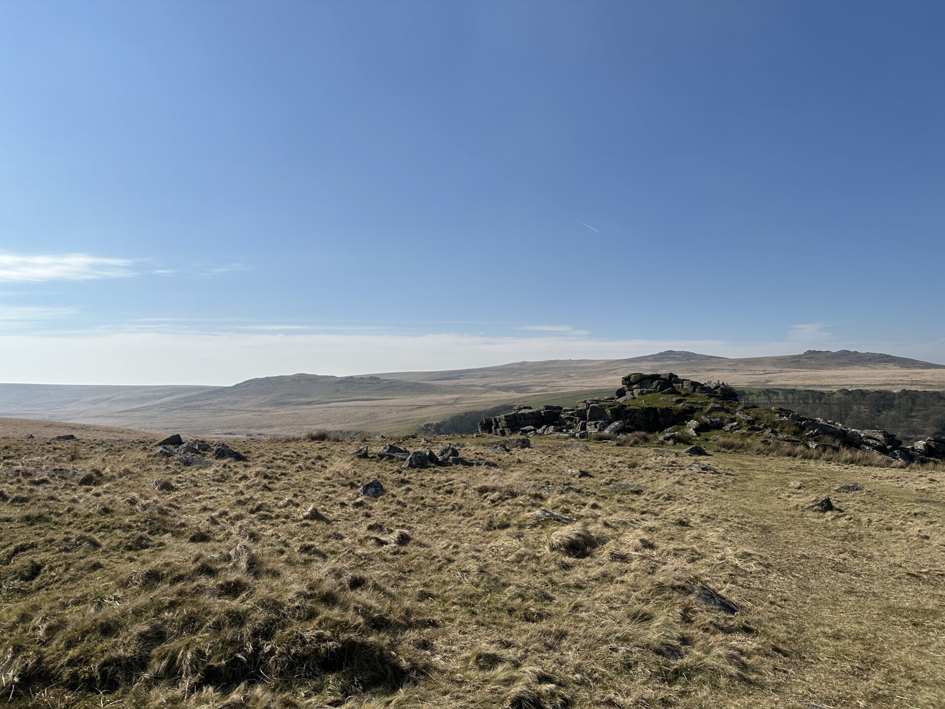 View across Dartmoor